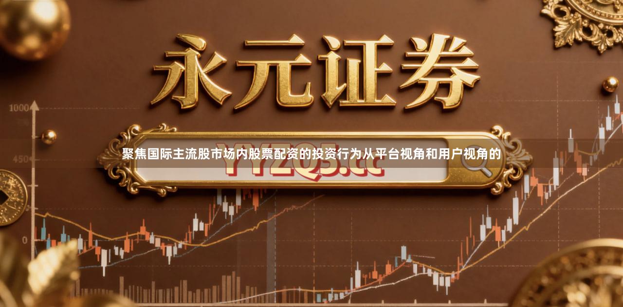 聚焦国际主流股市场内股票配资的投资行为从平台视角和用户视角的